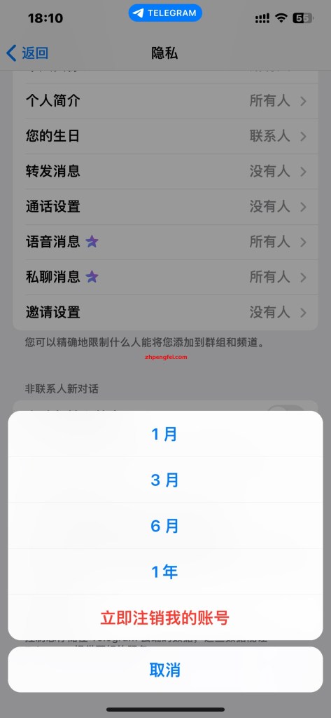 iPhone手机上删除 Telegram 账户